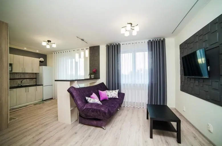 2-комнатная квартира-студия на проспекте Дзержинского, 15